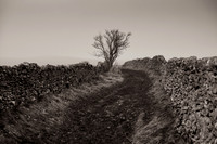 Pathway to Hassop 1