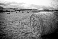 Bakewell Hay