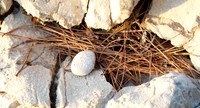 Croatian Pebble