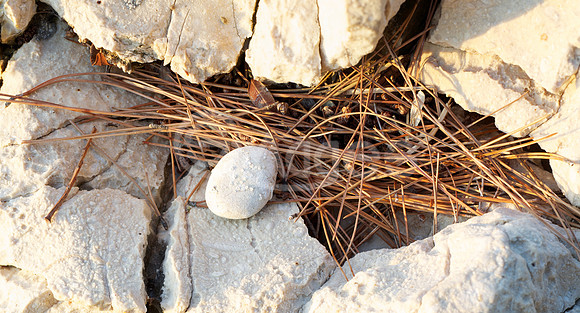 Croatian Pebble