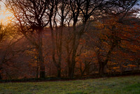 Eyam Evening Light 1