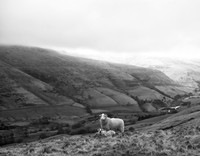 Towards Snake Pass 2