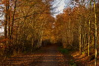 Monsal Trail 1