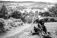 Hunting Cannon