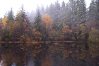 Kirroughtree Mist