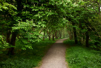 Passage to Slains Castle