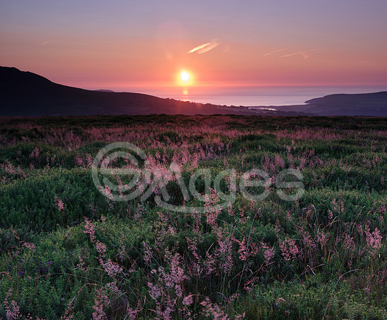 Pembrokeshire Sunset