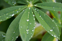 Radial raindrops