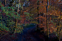 Eyam Evening Light 2