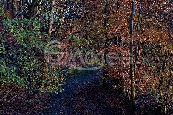 Eyam Evening Light 2