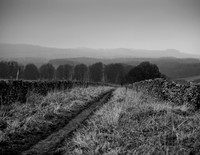 Pathway to Hassop 2