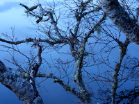 Loch Cul Dromannan Reflection