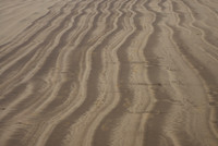 Devon Lines