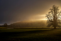 Evening Light Chatsworth 1